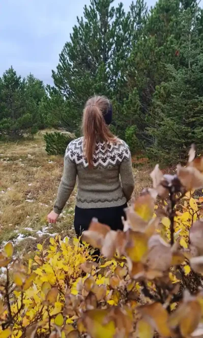 Nautið lopapeysu munstur. Stjörnumerkið nautið, munstur eftir Rakel hjá Lopamunstur.is