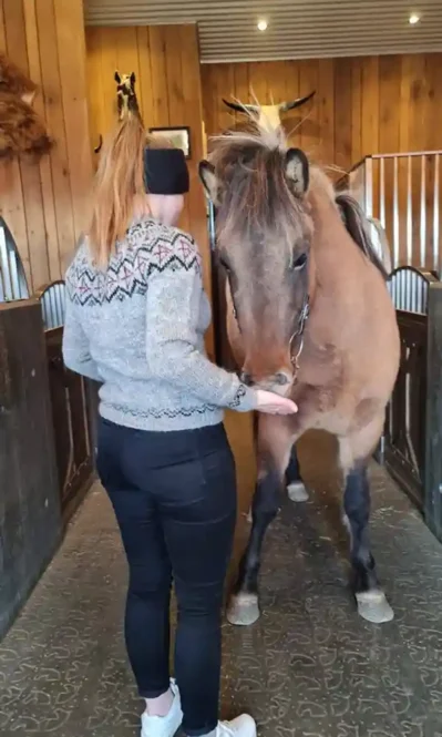 Bogmaður lopapeysu munstur eftir Rakel hjá Lopamunstur.is
