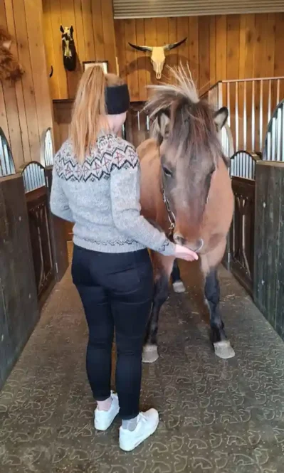 Bogmaður lopapeysu munstur eftir Rakel hjá Lopamunstur.is
