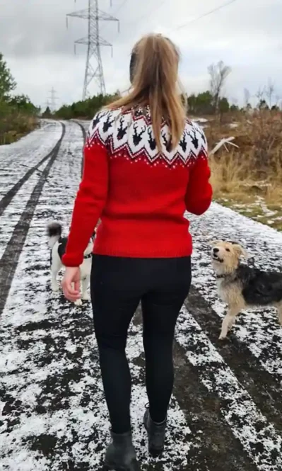 Rúdolf, jólapeysu lopamunstur eftir Rakel hjá Lopamunstur.is