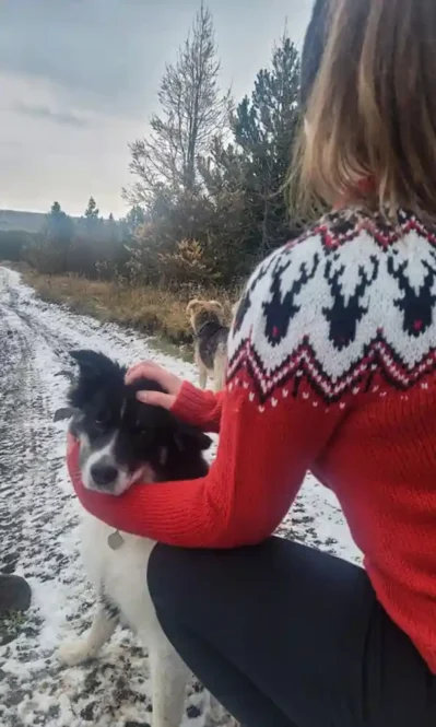 Rúdolf, jólapeysu lopamunstur eftir Rakel hjá Lopamunstur.is