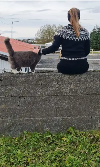 Sporðdrekinn, stjörnumerki, lopamunstur eftir Rakel hjá Lopamunstur.is