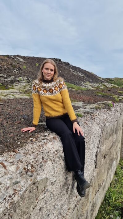 Ljónið - Image 2